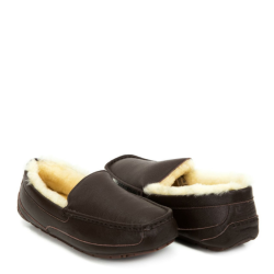 UGG Men's Ascot Metallic Chocolate UGG Men's Ascot Metallic Chocolate
