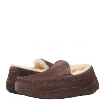 UGG Men's Ascot Chocolate