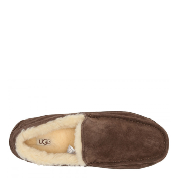 UGG Men's Ascot Chocolate