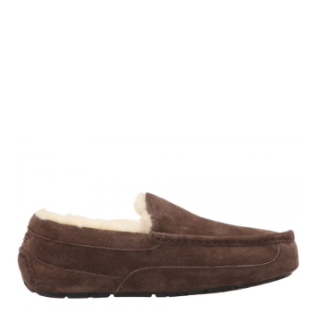 UGG Men's Ascot Chocolate