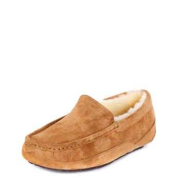 UGG Men's Ascot Chestnut