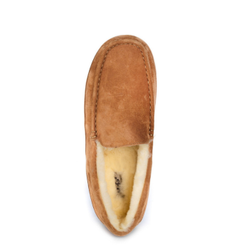 UGG Men's Ascot Chestnut