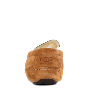 UGG Men's Ascot Chestnut