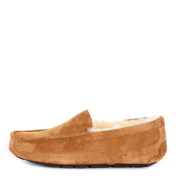 UGG Men's Ascot Chestnut