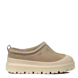 Ugg Tazz Hybrid Mustard Seed